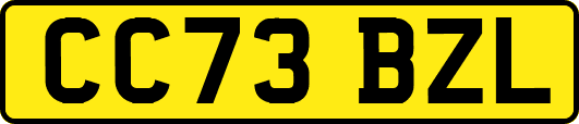CC73BZL