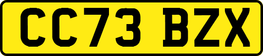 CC73BZX