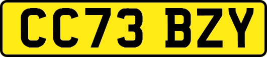 CC73BZY