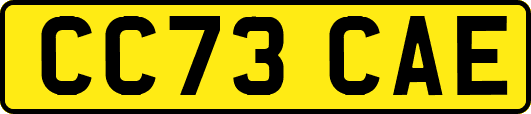 CC73CAE