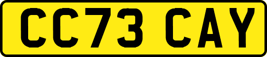 CC73CAY