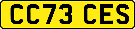 CC73CES
