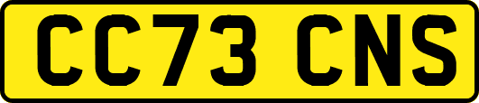 CC73CNS