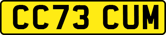 CC73CUM
