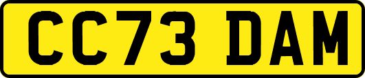 CC73DAM
