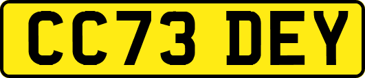 CC73DEY