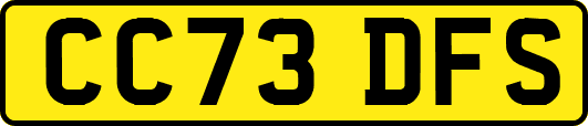 CC73DFS