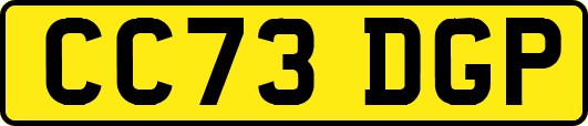 CC73DGP