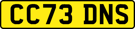 CC73DNS