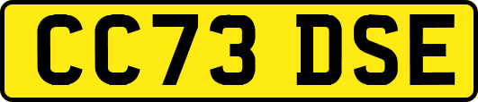 CC73DSE