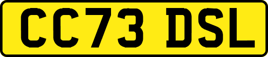 CC73DSL