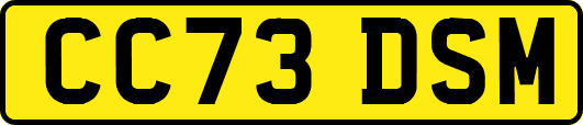 CC73DSM