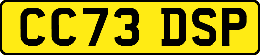 CC73DSP