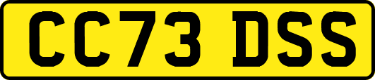 CC73DSS