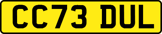 CC73DUL