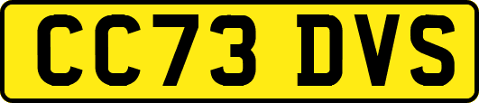 CC73DVS