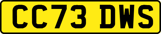 CC73DWS