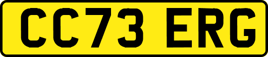 CC73ERG