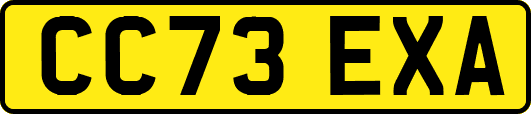 CC73EXA