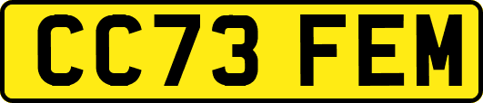 CC73FEM