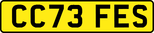 CC73FES