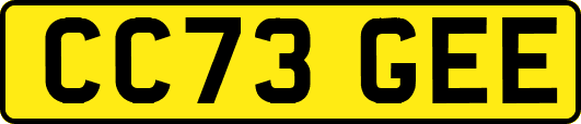CC73GEE