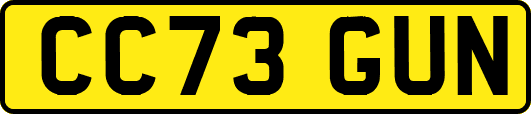 CC73GUN