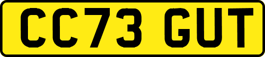 CC73GUT