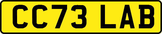 CC73LAB