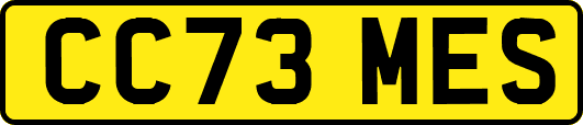 CC73MES