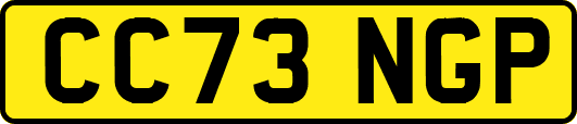 CC73NGP