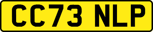 CC73NLP