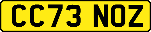 CC73NOZ