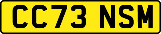 CC73NSM