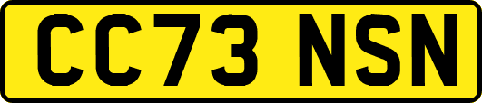 CC73NSN