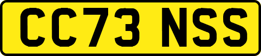 CC73NSS