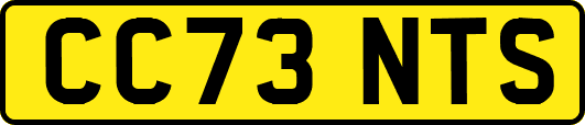 CC73NTS