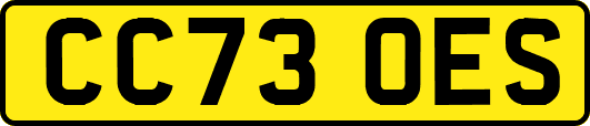 CC73OES