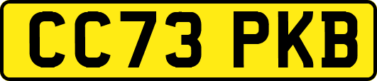 CC73PKB