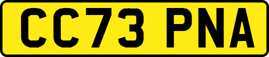 CC73PNA