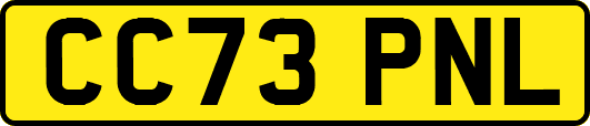 CC73PNL
