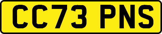 CC73PNS