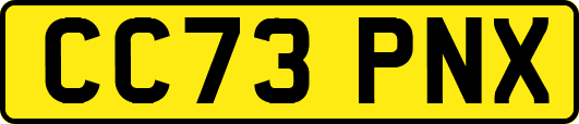 CC73PNX