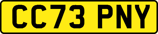 CC73PNY