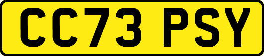 CC73PSY