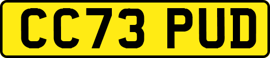 CC73PUD