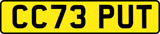 CC73PUT