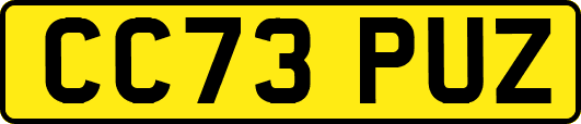 CC73PUZ