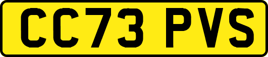 CC73PVS