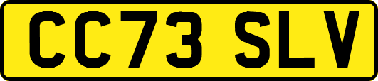 CC73SLV